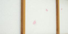 デザイン障子紙「桜吹雪」 94cm×3.6m巻
