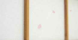 デザイン障子紙「桜吹雪」 94cm×3.6m巻