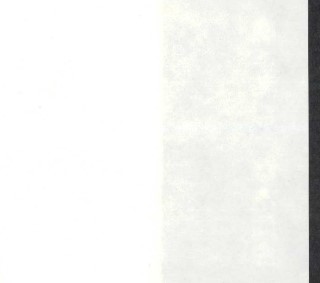 はやわざ 額用糊付鳥の子 36cm×50ｍ巻【裏打ち紙/裏打紙/プレス...